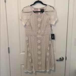 Adrianna Papell Lace Dress